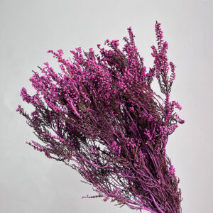 Heather, Cerise Pink, Dried (Erica) 50cm