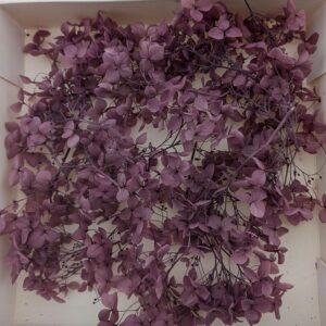 Hydrangea, Preserved Florets up to 10cm – Dusky Plum