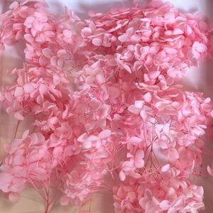 Hydrangea, Preserved Florets up to 10cm – Light Pink