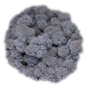 Icelandic Moss, Pale Blue, Preserved (Reindeer Moss) approx 100g