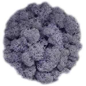 Icelandic Moss, Pale Lilac, Preserved (Reindeer Moss) approx 100g
