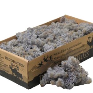 Icelandic Moss, Pale Lilac, Preserved (Reindeer Moss) approx 500g