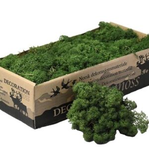 Icelandic Moss, Moss Green, Preserved (Reindeer Moss) approx 500g