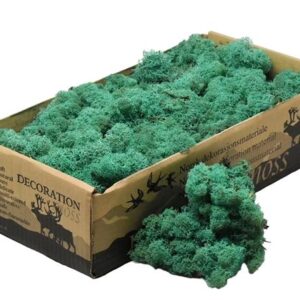 Icelandic Moss, Sea Green, Preserved (Reindeer Moss) approx 500g