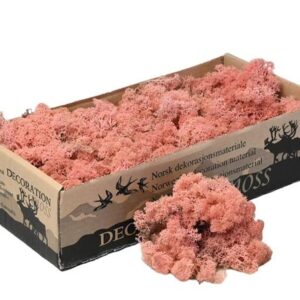 Icelandic Moss, Pale Pink, Preserved (Reindeer Moss) approx 500g