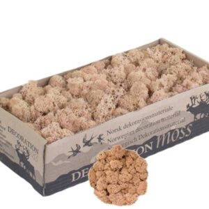 Icelandic Moss, Pale Peach, Preserved (Reindeer Moss) approx 500g