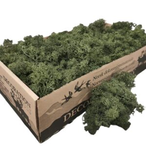 Icelandic Moss, Pine Dark Green, Preserved (Reindeer Moss) approx 500g