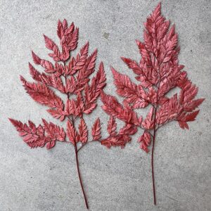 Leatherleaf Ferns, Dusky Red, Preserved, 40cm
