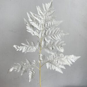 Leatherleaf Ferns, White, Preserved, 45cm