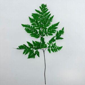 Leatherleaf Ferns, Fresh Green, Preserved, 45cm