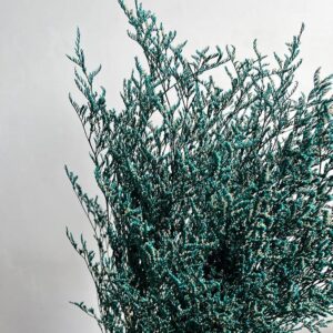Limonium Caspia, Deep Aqua Blue, Preserved, (Sea Lavender) up to 70cm