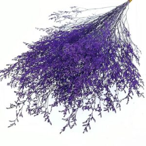 Limonium Caspia, Deep Violet Purple, Preserved (Sea Lavender) up to 70cm