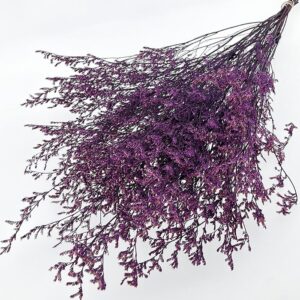 Limonium Caspia, Lavender Purple, Preserved (Sea Lavender) up to 70cm