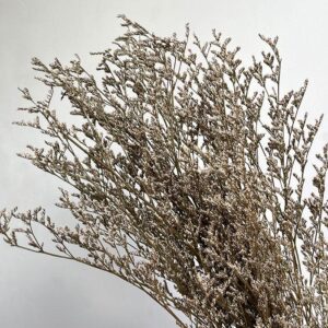 Limonium Caspia, Natural Grey, Dried (Sea Lavender) up to 70cm