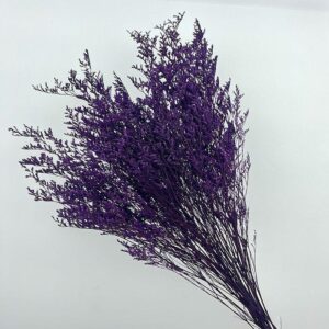 Limonium Caspia, Purple, Preserved (Sea Lavender) up to 70cm