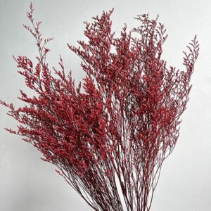 Limonium Caspia, Red, Preserved (Sea Lavender) up to 70cm