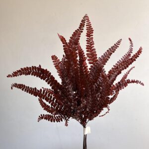 Maidenhair Ferns, Rusty Burnt Orange, Preserved (Verdissimo®) 25cm