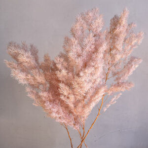 Ming Ferns, Pale Pink, Preserved (Asparagus Myriocladus) 60cm