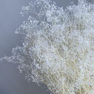 Gypsophila, Mini, Bleached White, Preserved, sprigs up to 50cm (Baby’s Breath)
