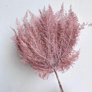 Mountain Ferns, Dusky Pale Pink, Preserved (Earth Matters®)