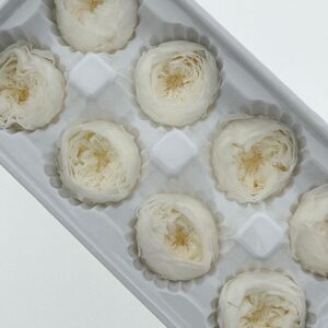 Peony Roses, White, Preserved, x8 blooms, 4cm (Every Love®)