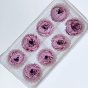 Peony Roses, Pale Pink, Preserved, x8 blooms, 4cm (Every Love®)