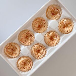 Peony Roses, Peach Champagne, Preserved, x8 blooms, 4cm (Every Love®)