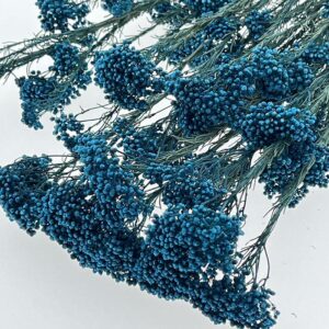 Rice Flower, Deep Blue, Preserved (Ozothamnus) 65cm