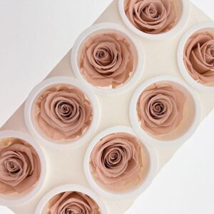 Roses, Antique Pink, Preserved, x8 blooms, 5cm (Kiara®)