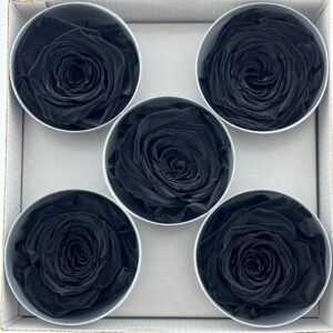 Roses, Black, Preserved, x5 blooms, 7cm (Verdissimo®)