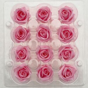 Roses, Bridal Pink, Preserved, x12 blooms, 2cm (Kiara®)