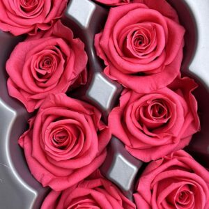 Roses, Deep Pink, Preserved, x8 blooms, 4cm (Verdissimo®)