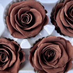 Roses, Smokey Brown, Preserved, x6 blooms, 6cm (Every Love®)