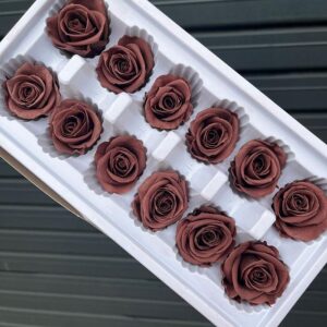 Roses, Smokey Brown, Preserved, x12 blooms, 4cm (Every Love®)