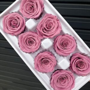 Roses, Taro, Muted Pink Purple, Preserved, x8 blooms, 5cm (Every Love®)