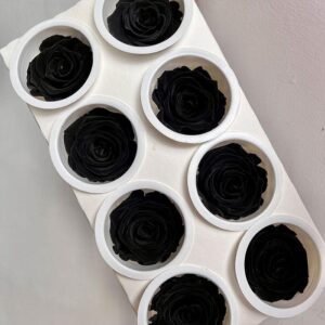 Roses, ‘Black Beauty” Preserved, x8 blooms, 5cm (Kiara®)