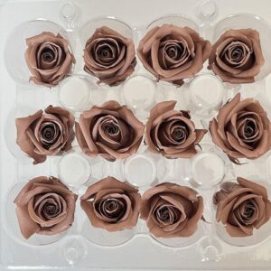 Roses, ‘Smoked Oak’ Brown, Preserved, x12 blooms, 2cm (Kiara®)