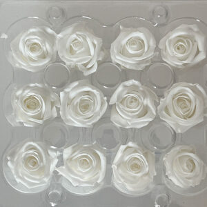 Roses, Pure White, Preserved, x12 blooms, 2cm (Kiara®)