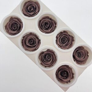 Roses, ‘Smoked Oak’ Brown, Preserved, x8 blooms, 5cm (Kiara®)