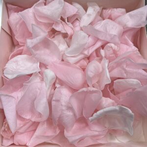 Rose Petals, Pink and White, Preserved, 1 litre
