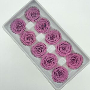 Roses, Taro, Muted Pink Purple, Preserved, x10 blooms, 4cm (Every Love®)