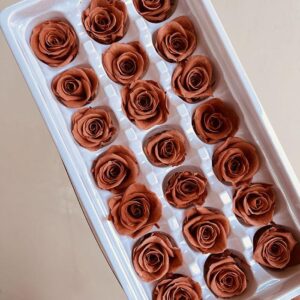 Roses, Terracotta Orange, Preserved, x21 blooms, 3cm (Every Love®)
