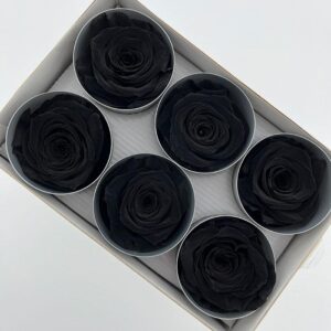 Roses, Black, Preserved, x6 blooms, 6cm (Verdissimo®)