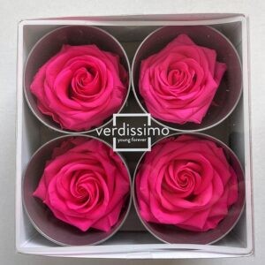 Verdissimo® Preserved Roses