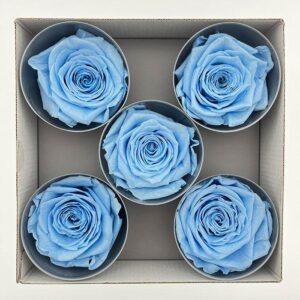 Roses, Pale Blue, Preserved, x5 blooms, 7cm (Verdissimo®)