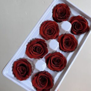 Roses, Vermillion, Burnt Orange, Preserved, x8 blooms, 5cm (Every Love®)