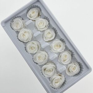 Roses, White, Preserved, x12 blooms, 4cm (Every Love®)