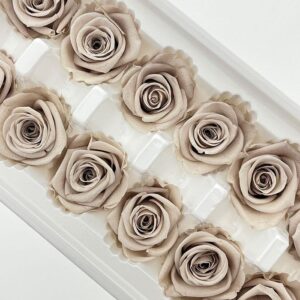 Roses, Ash Silver, Preserved, x12 blooms, 4cm (Every Love®)