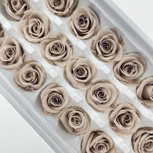 Roses, Ash Silver, Preserved, x21 blooms, 3cm (Every Love®)