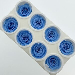 Roses, ‘Baby Blue’, Preserved, x8 blooms, 5cm (Kiara®)